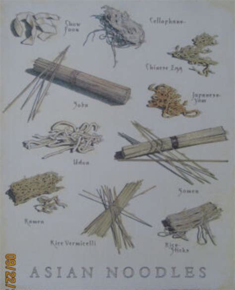 noodle magzine|noodle magazine asian videos.